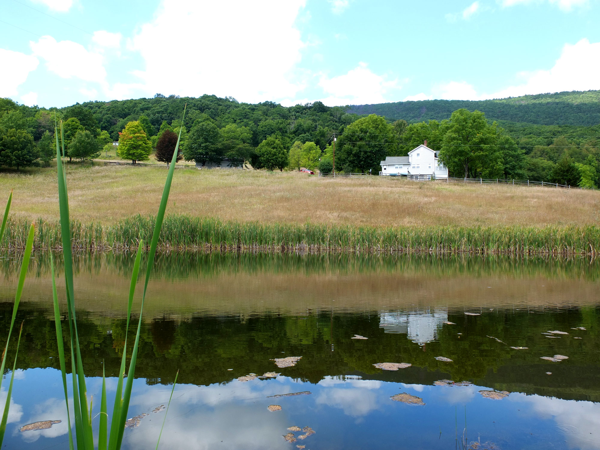 Photo 6 from STEVE WINGFIELD EVANGELISTIC ASSOCIATION